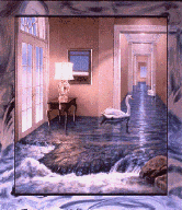salazar049017.gif