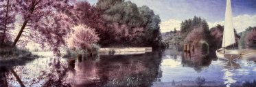 salazar079003.jpg