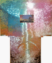 salazar102013.gif